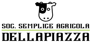 SSA Dellapiazza Logo