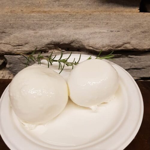mozzarella ssa della piazza