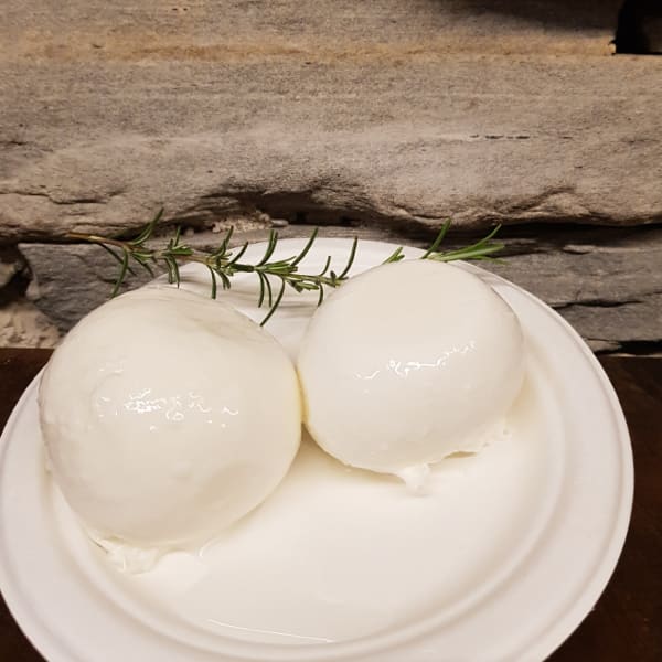 mozzarella mozzarella ssa della piazza