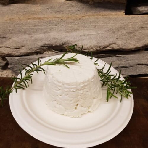 ricotta