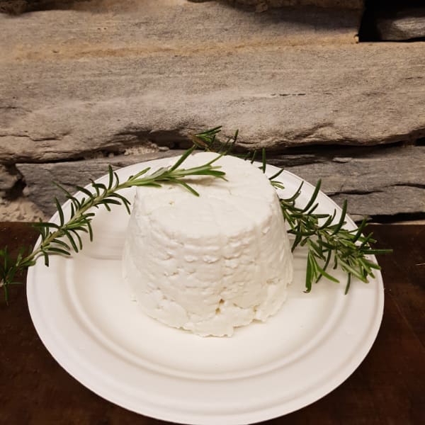 ricotta ricotta
